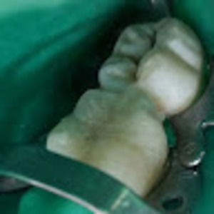 Meet your Posher, Maksym